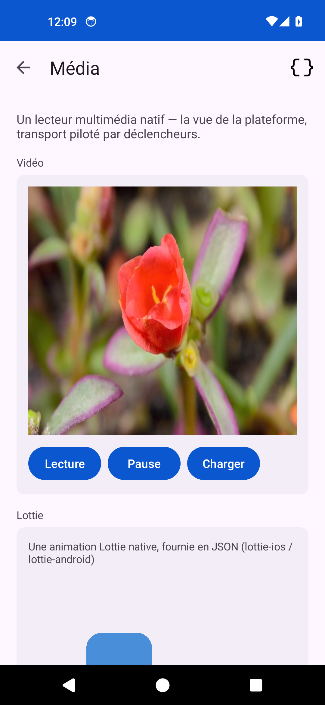 Media — Android (Material)