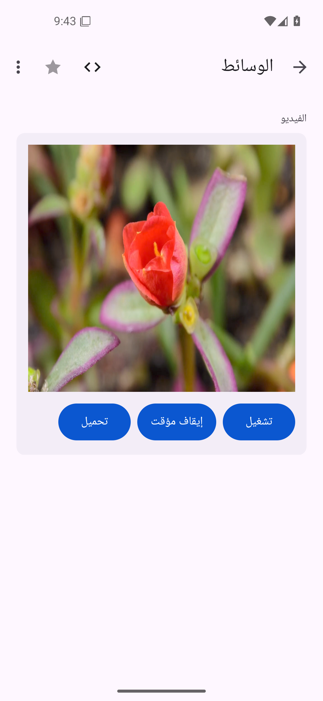 الوسائط — Android (Material) · Phone