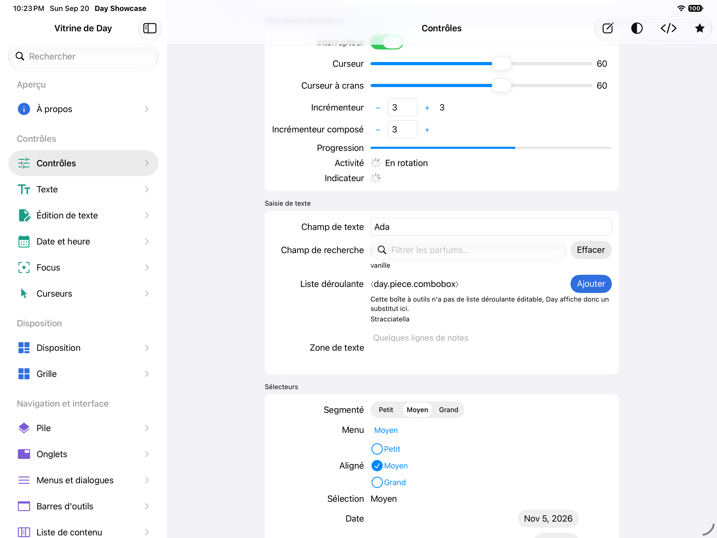 Contrôles · sélecteurs — iOS (UIKit) · iPad