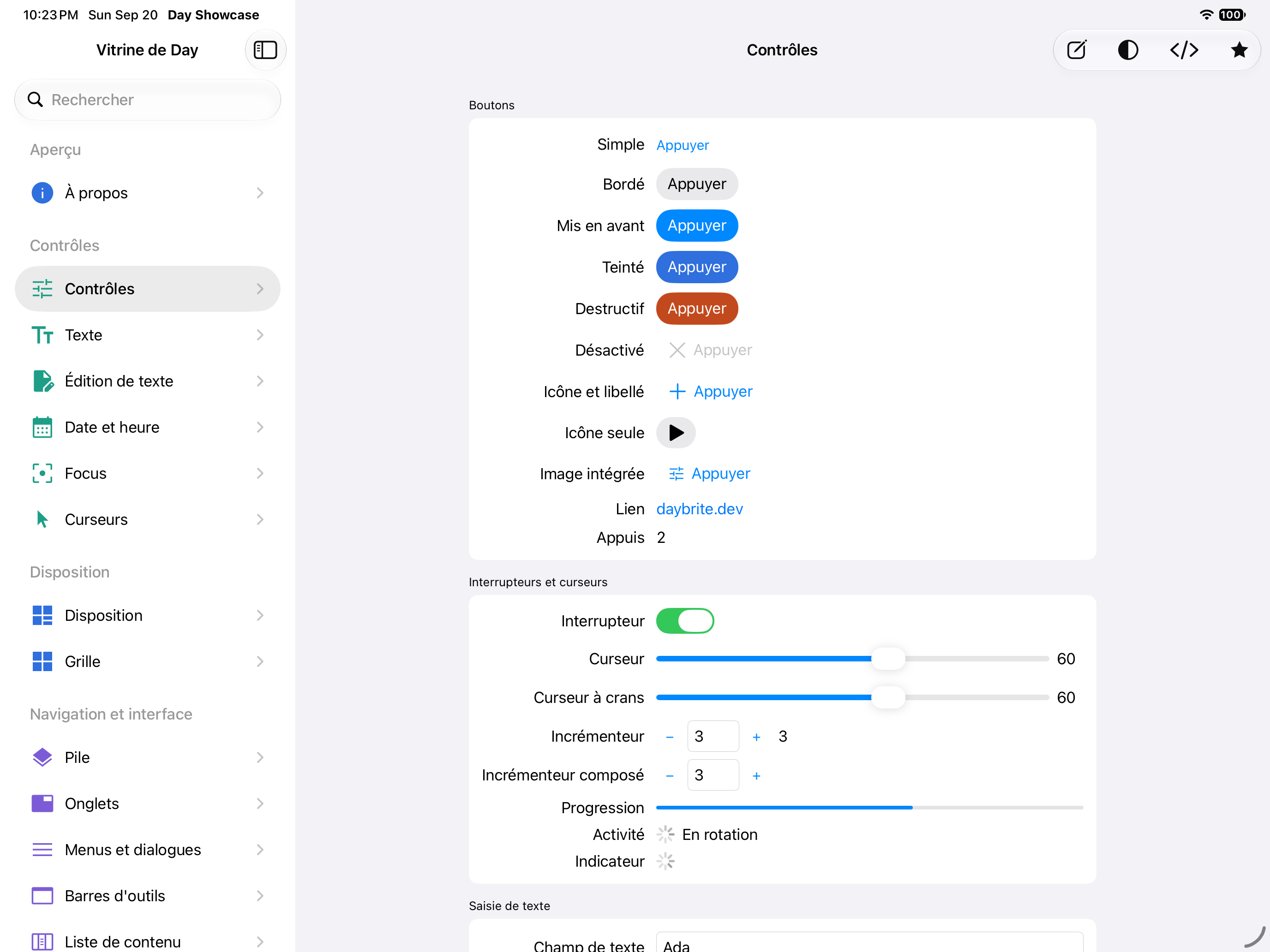 Contrôles — iOS (UIKit) · iPad
