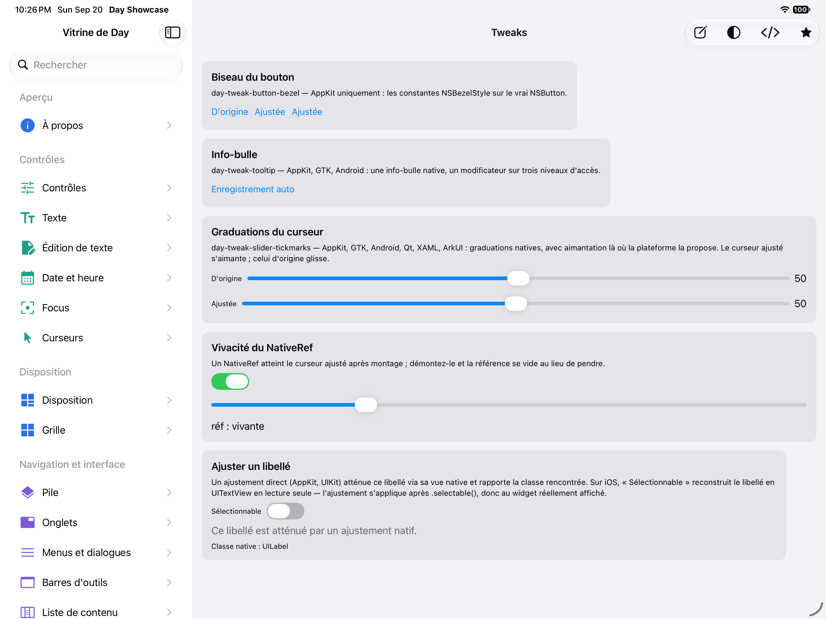Tweaks — iOS (UIKit) · iPad
