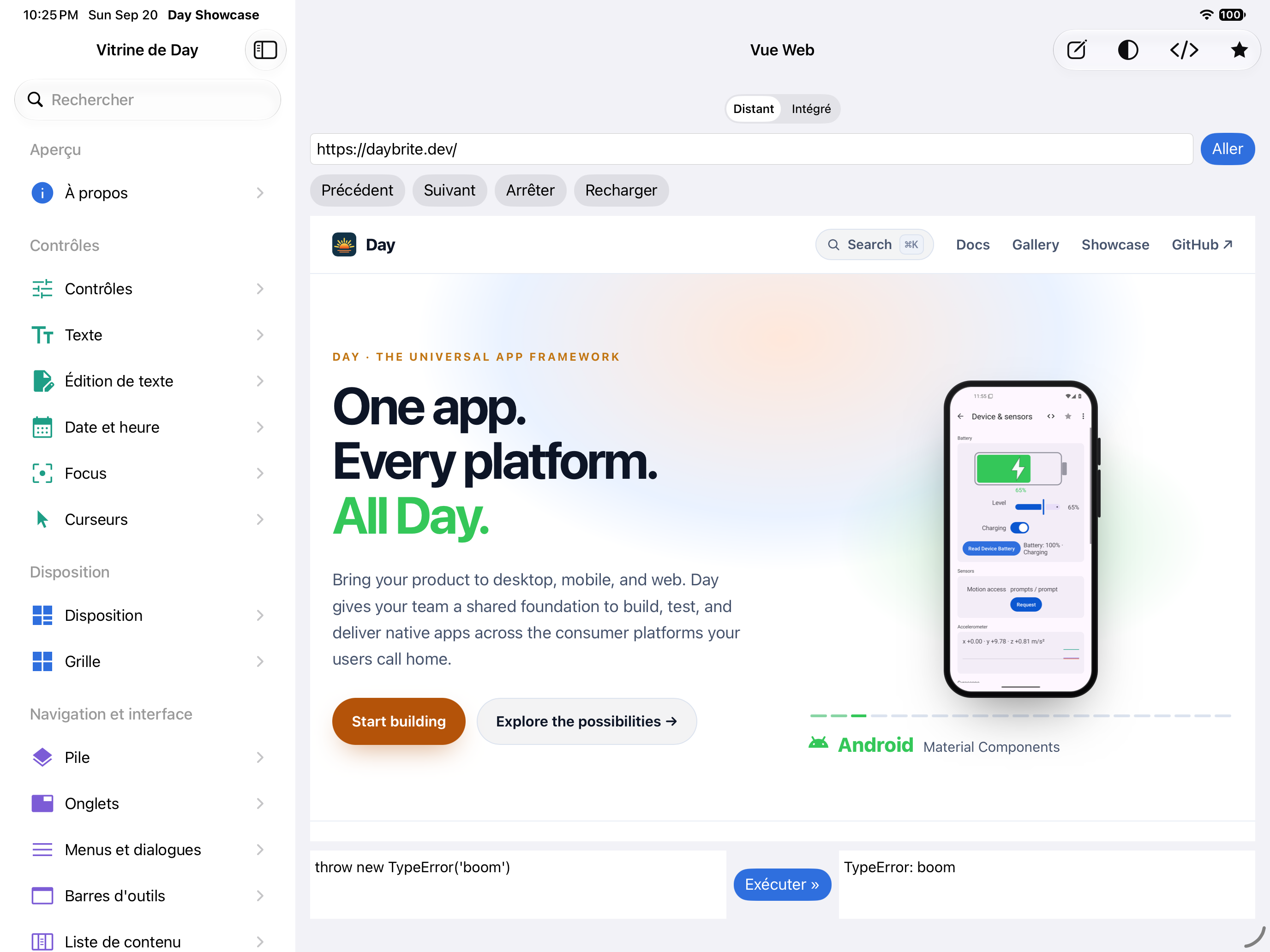 Vue Web — iOS (UIKit) · iPad
