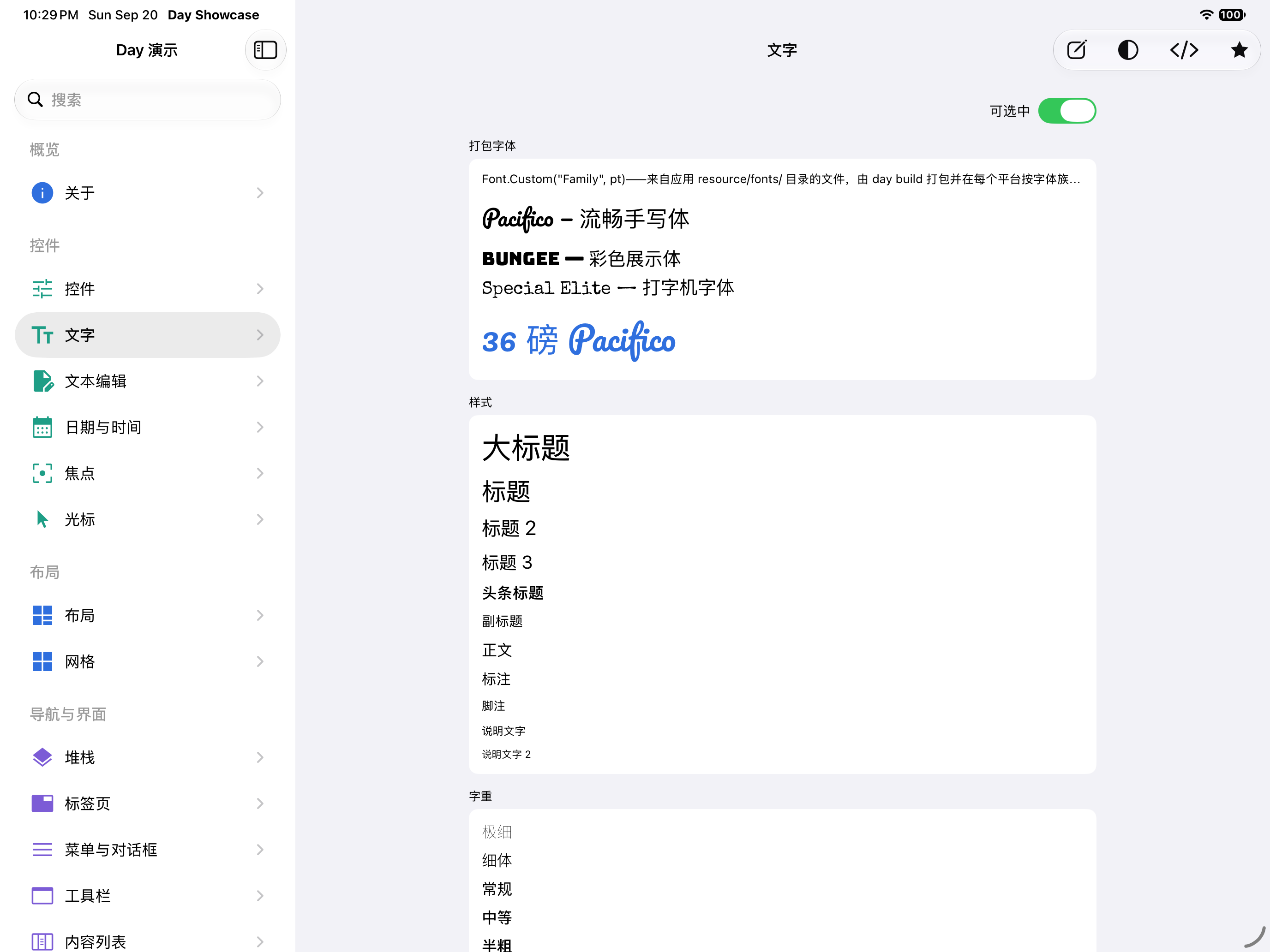 文字 — iOS (UIKit) · iPad