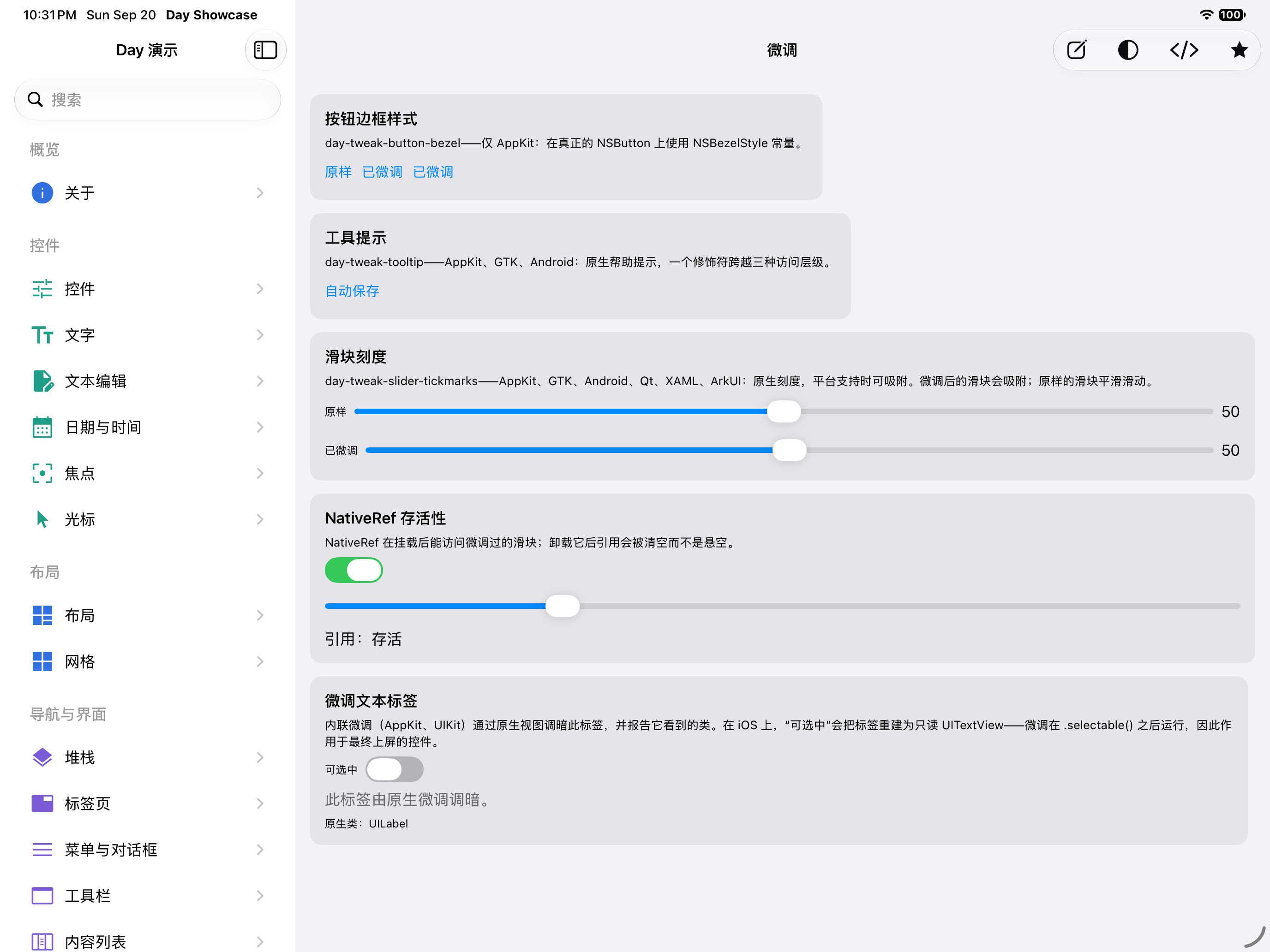 微调 — iOS (UIKit) · iPad