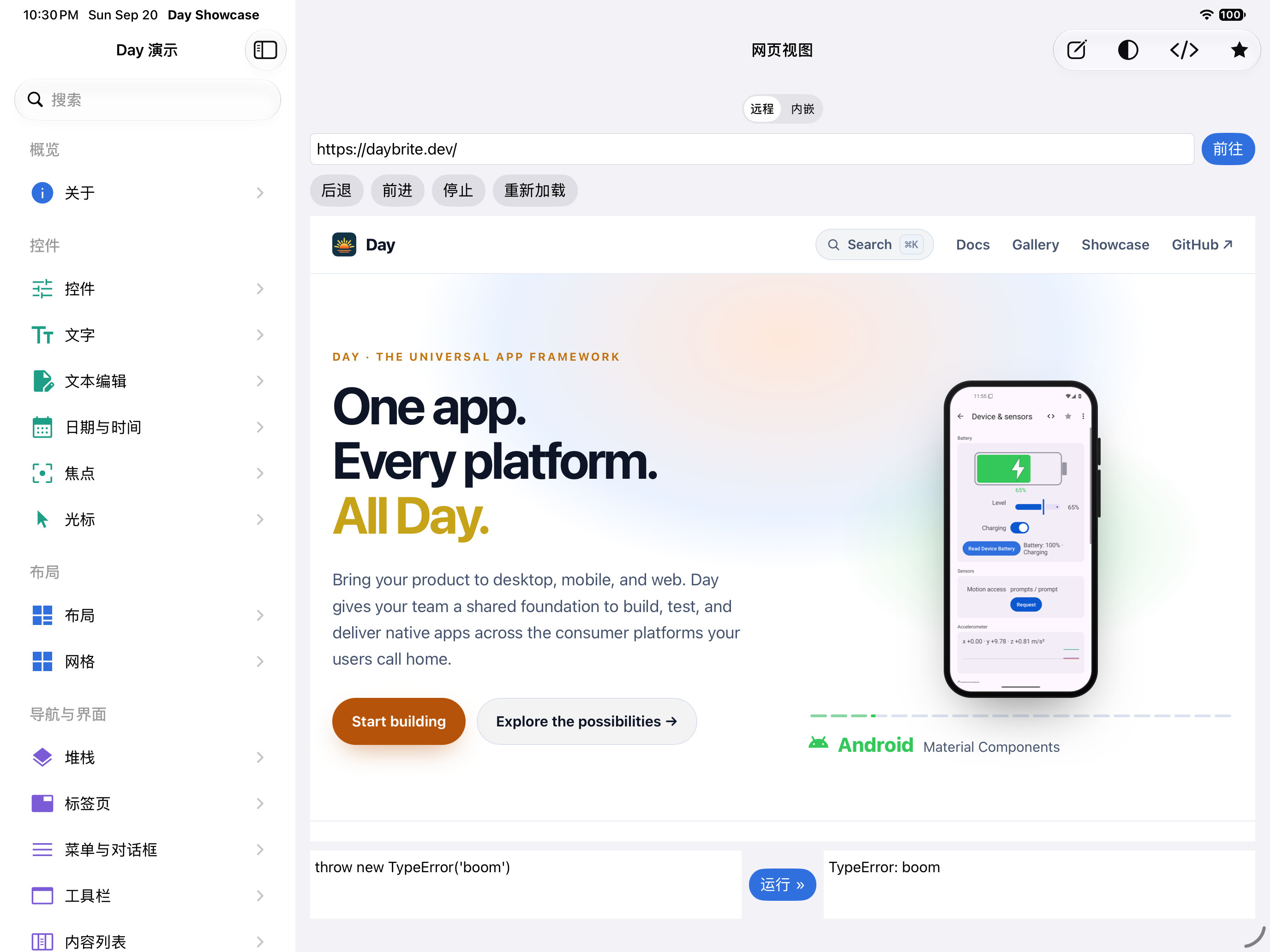 网页视图 — iOS (UIKit) · iPad