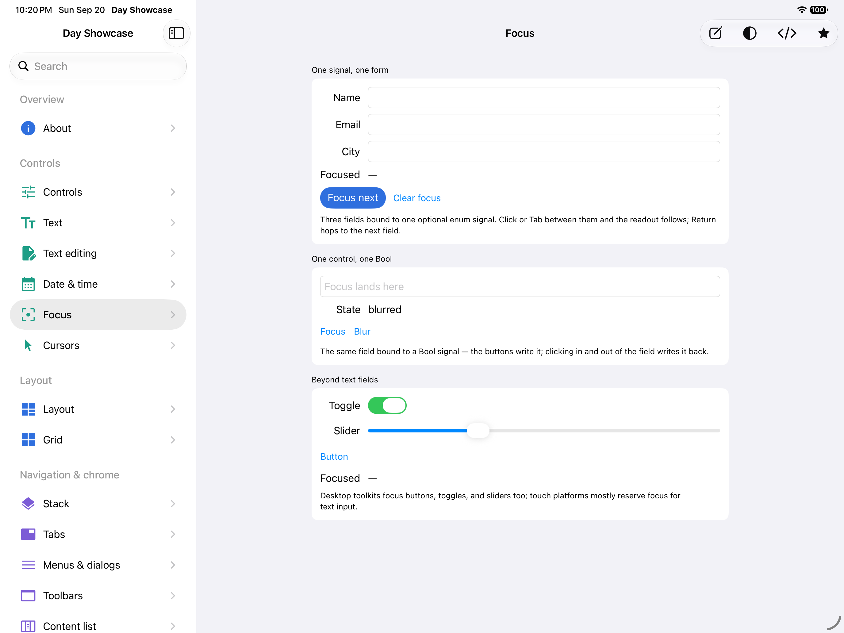 Focus — iOS (UIKit) · iPad