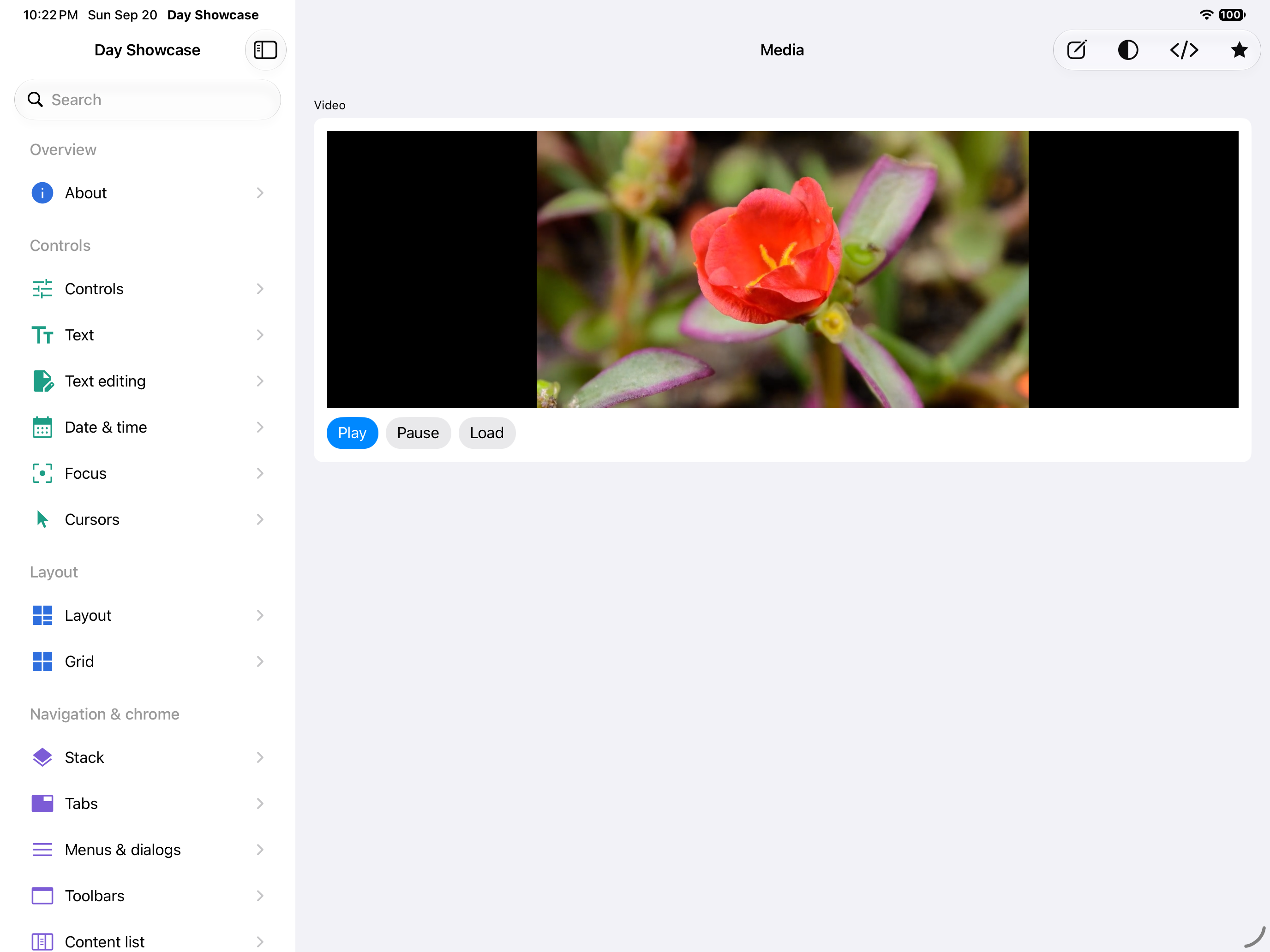 Media — iOS (UIKit) · iPad