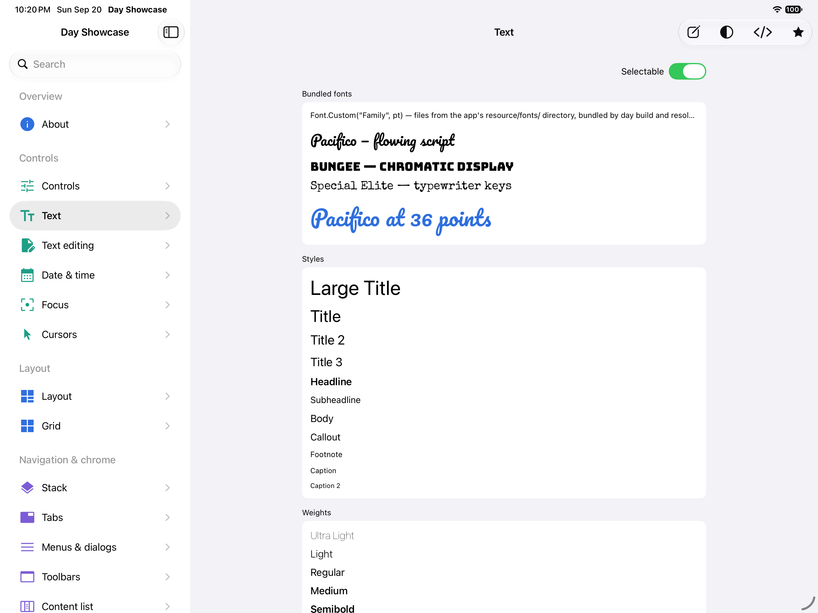 Text — iOS (UIKit) · iPad