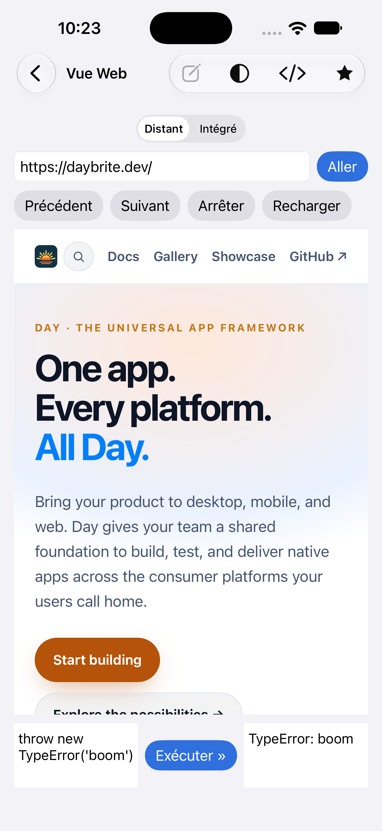 Vue Web — iOS (UIKit) · iPhone