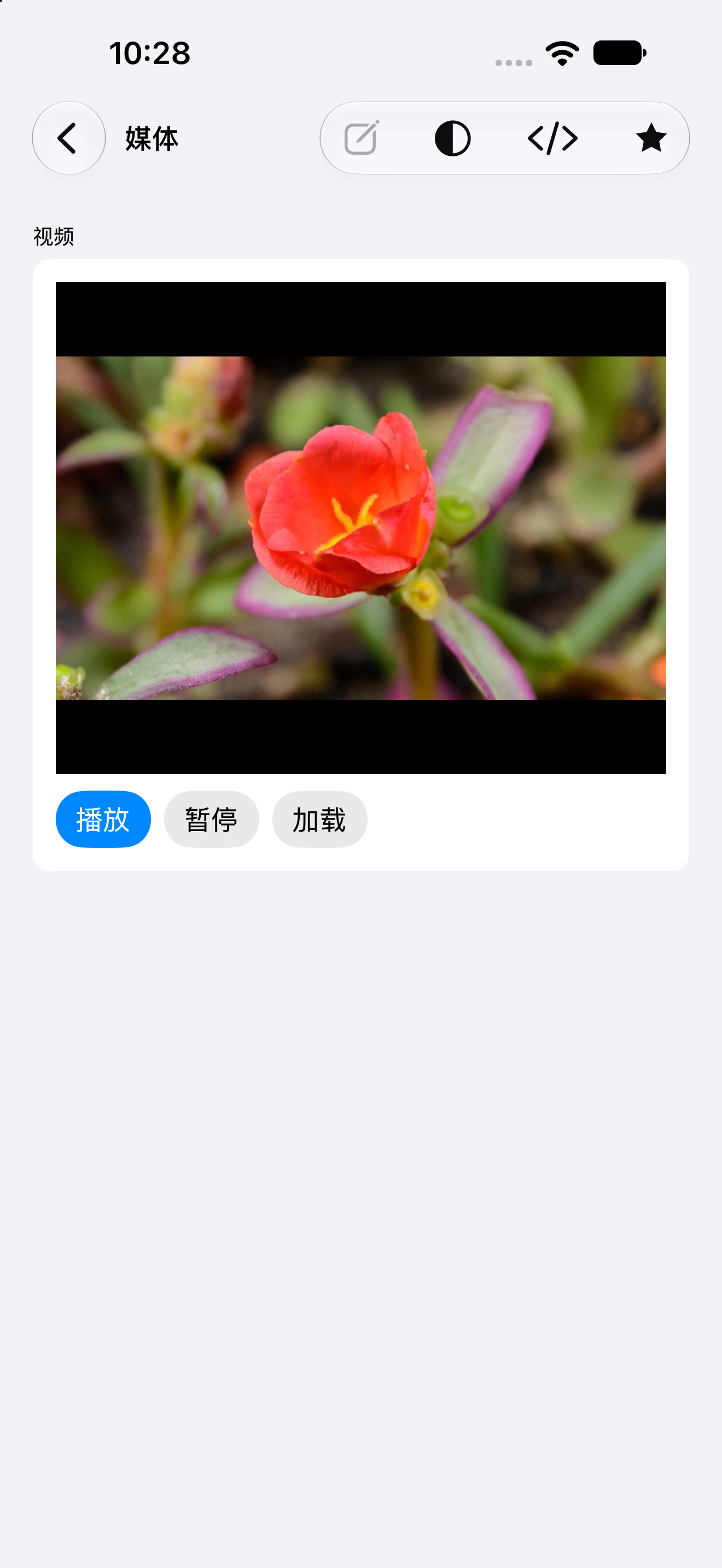 媒体 — iOS (UIKit) · iPhone