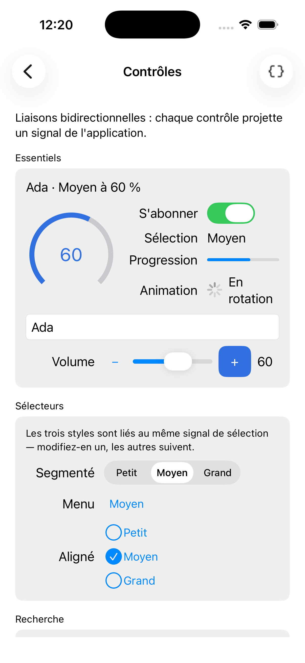 Controls — iOS (UIKit)