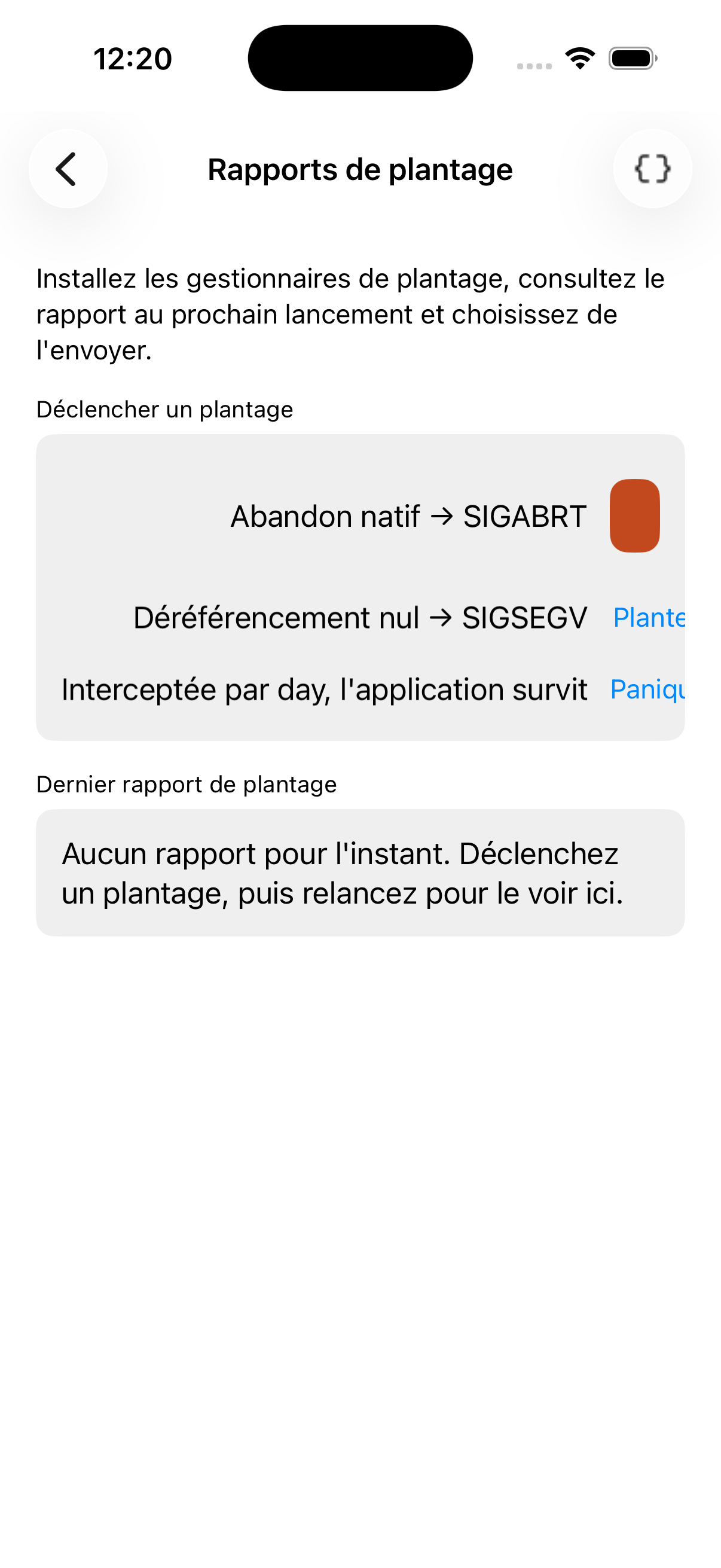 Crash — iOS (UIKit)
