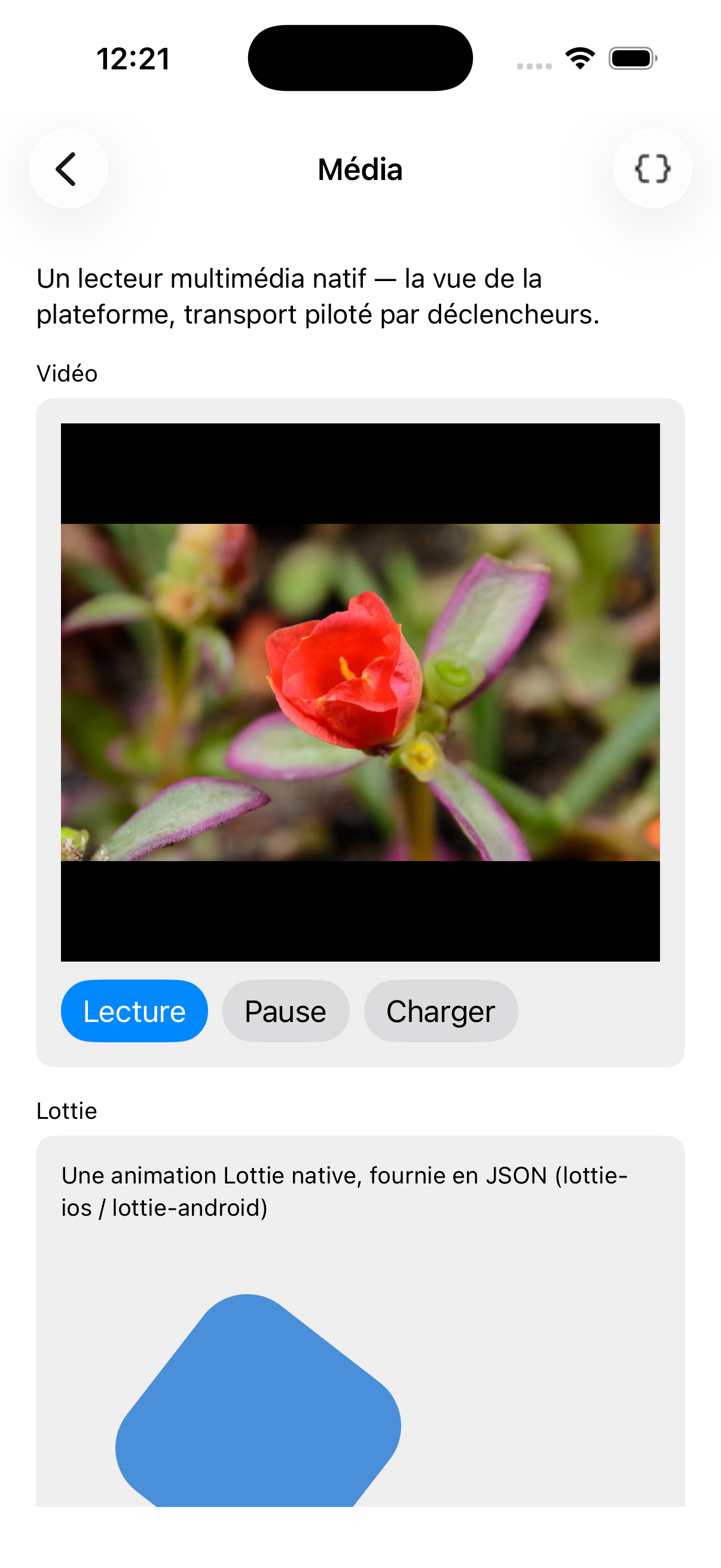Media — iOS (UIKit)