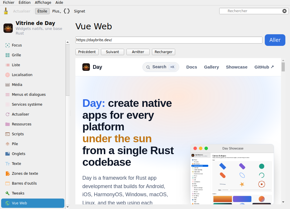 Webview — Linux (Qt 6 / KDE)
