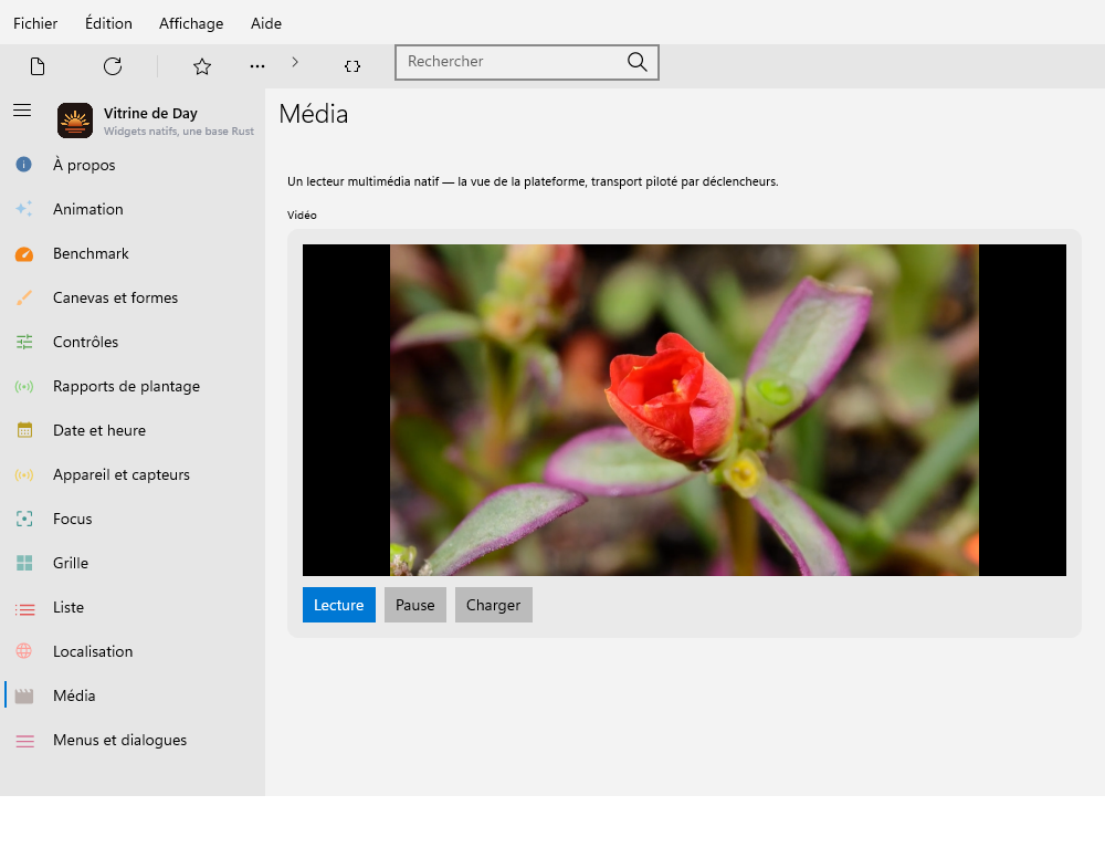 Media — Windows (XAML)