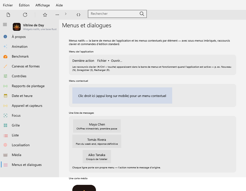 Preferences — Windows (XAML)