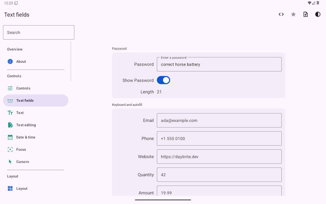 Password shown, Android Tablet