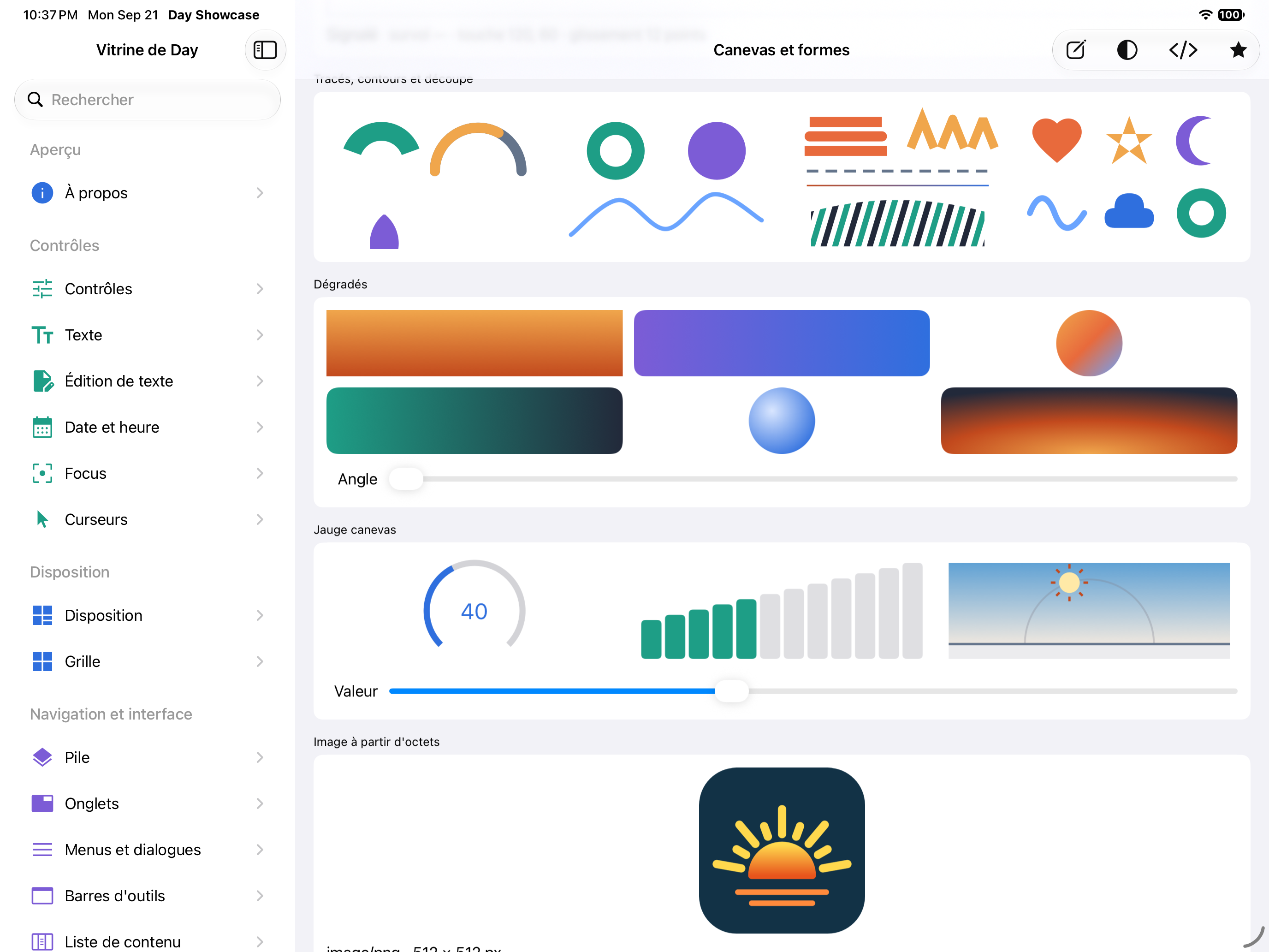 Canevas et formes — iOS (UIKit) · iPad