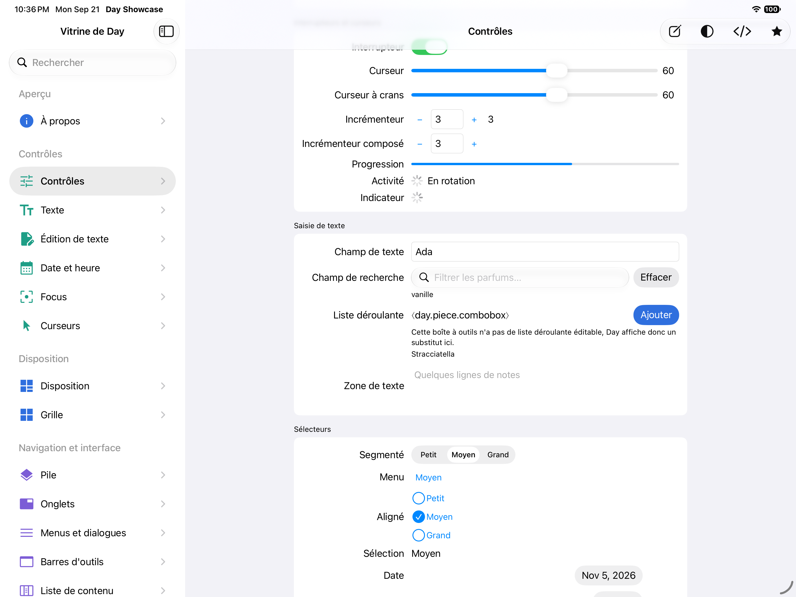 Contrôles · sélecteurs — iOS (UIKit) · iPad
