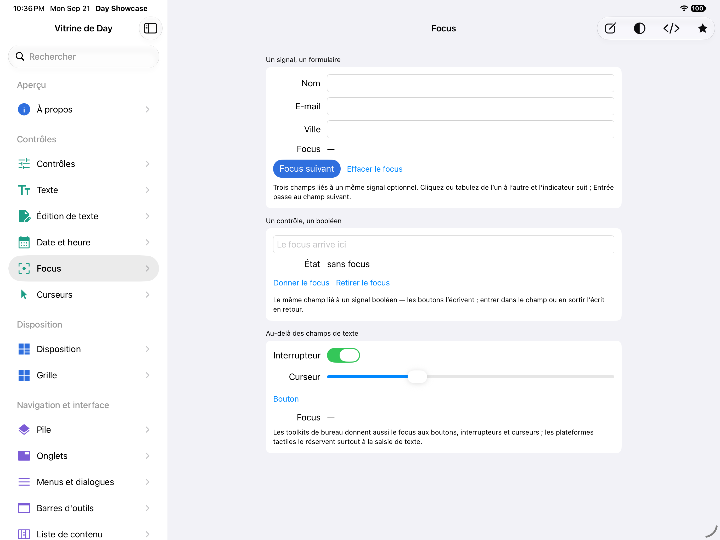 Focus — iOS (UIKit) · iPad