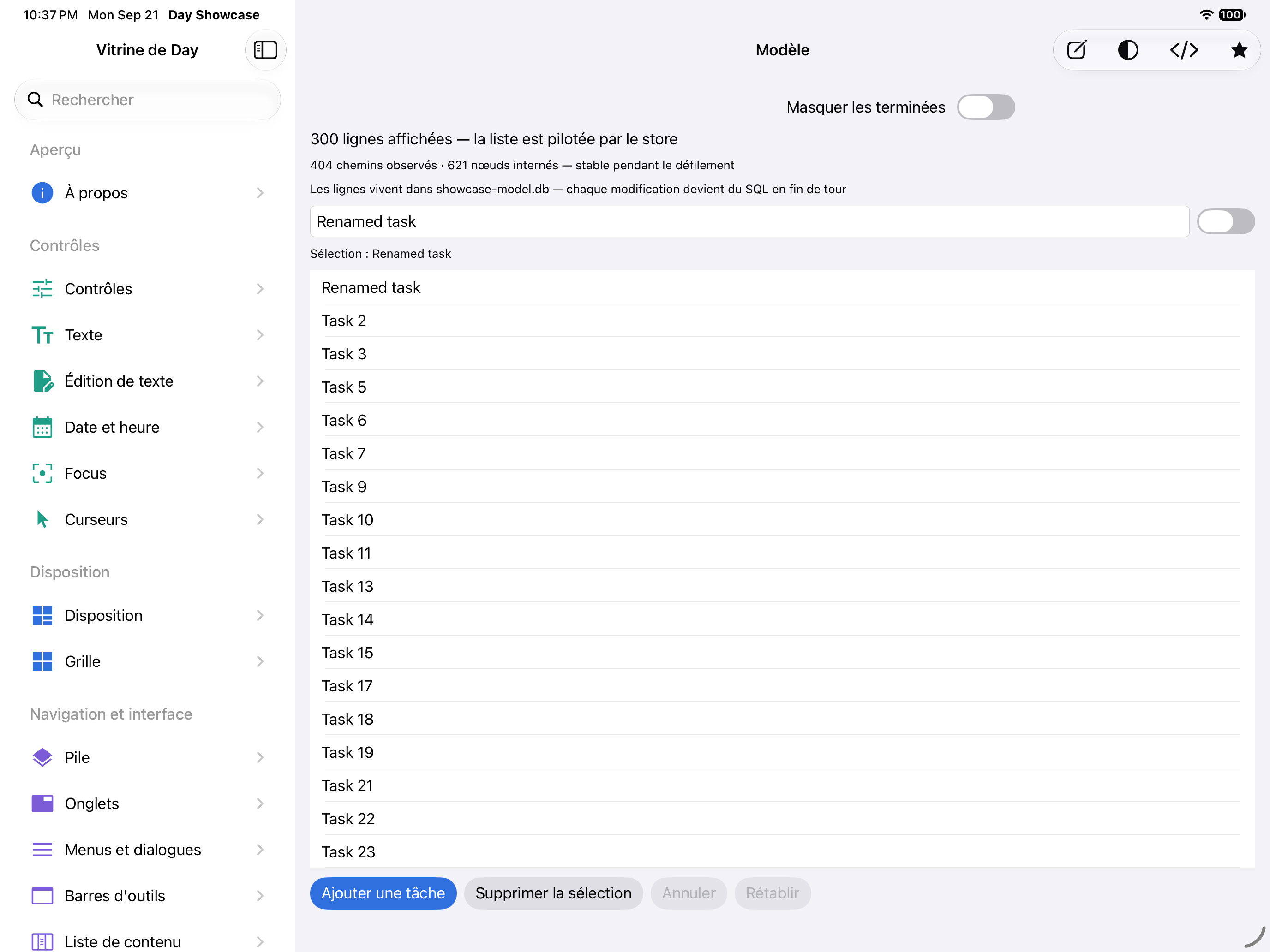 Modèle — iOS (UIKit) · iPad