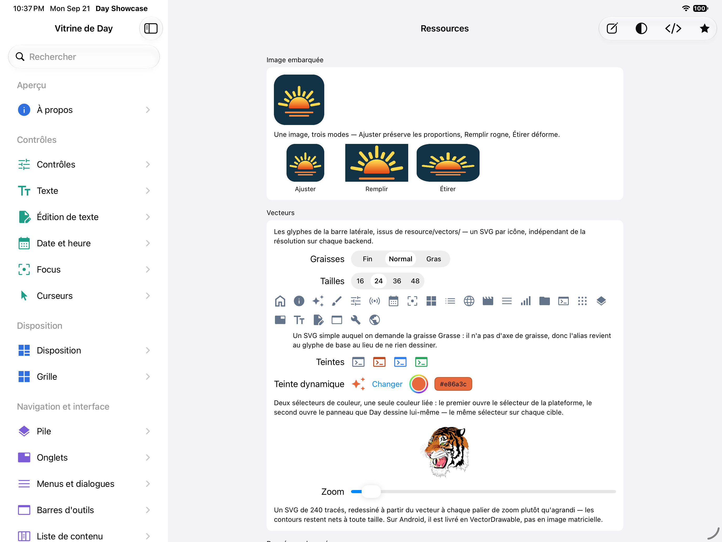 Ressources — iOS (UIKit) · iPad