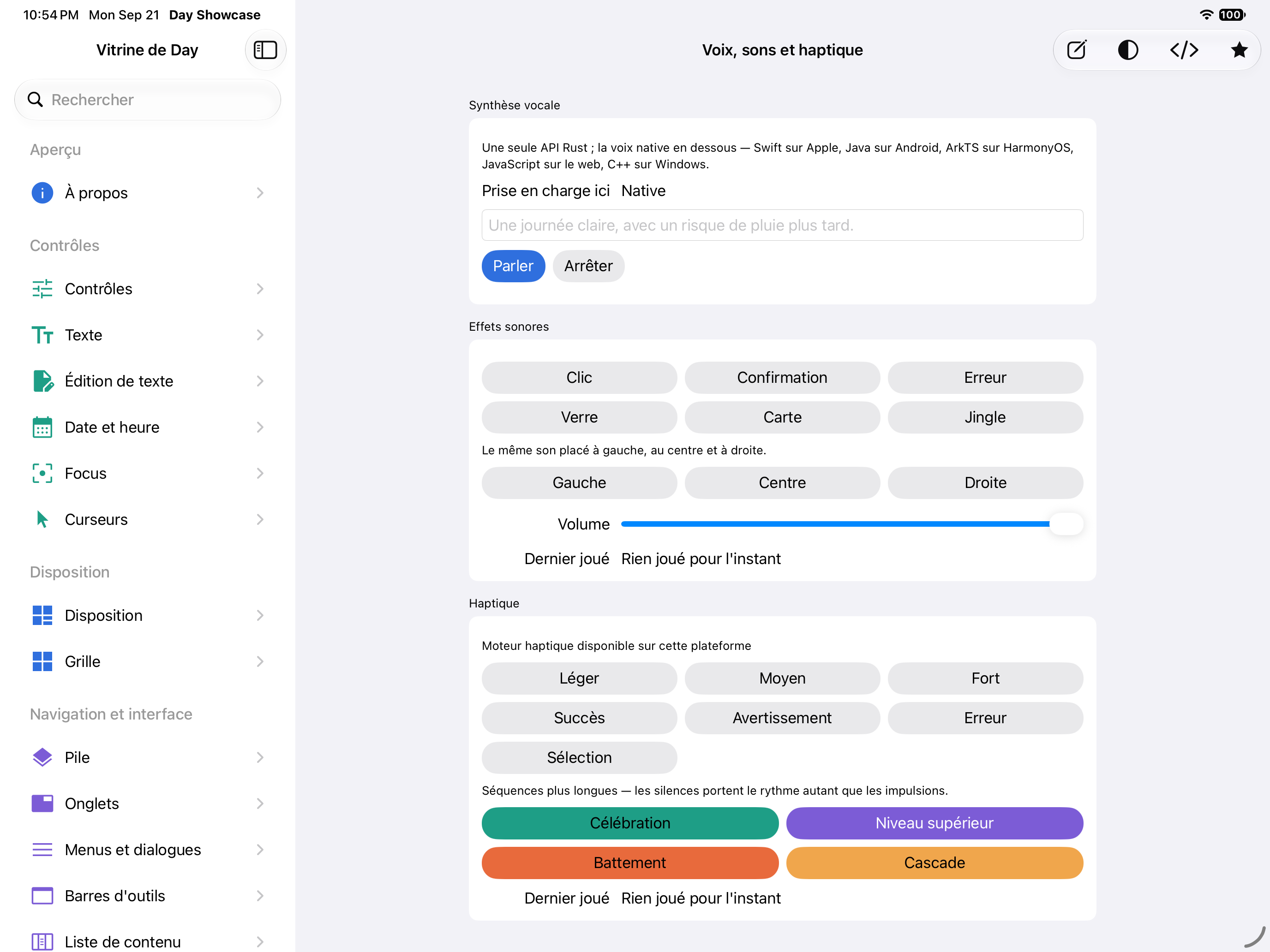 Voix — iOS (UIKit) · iPad