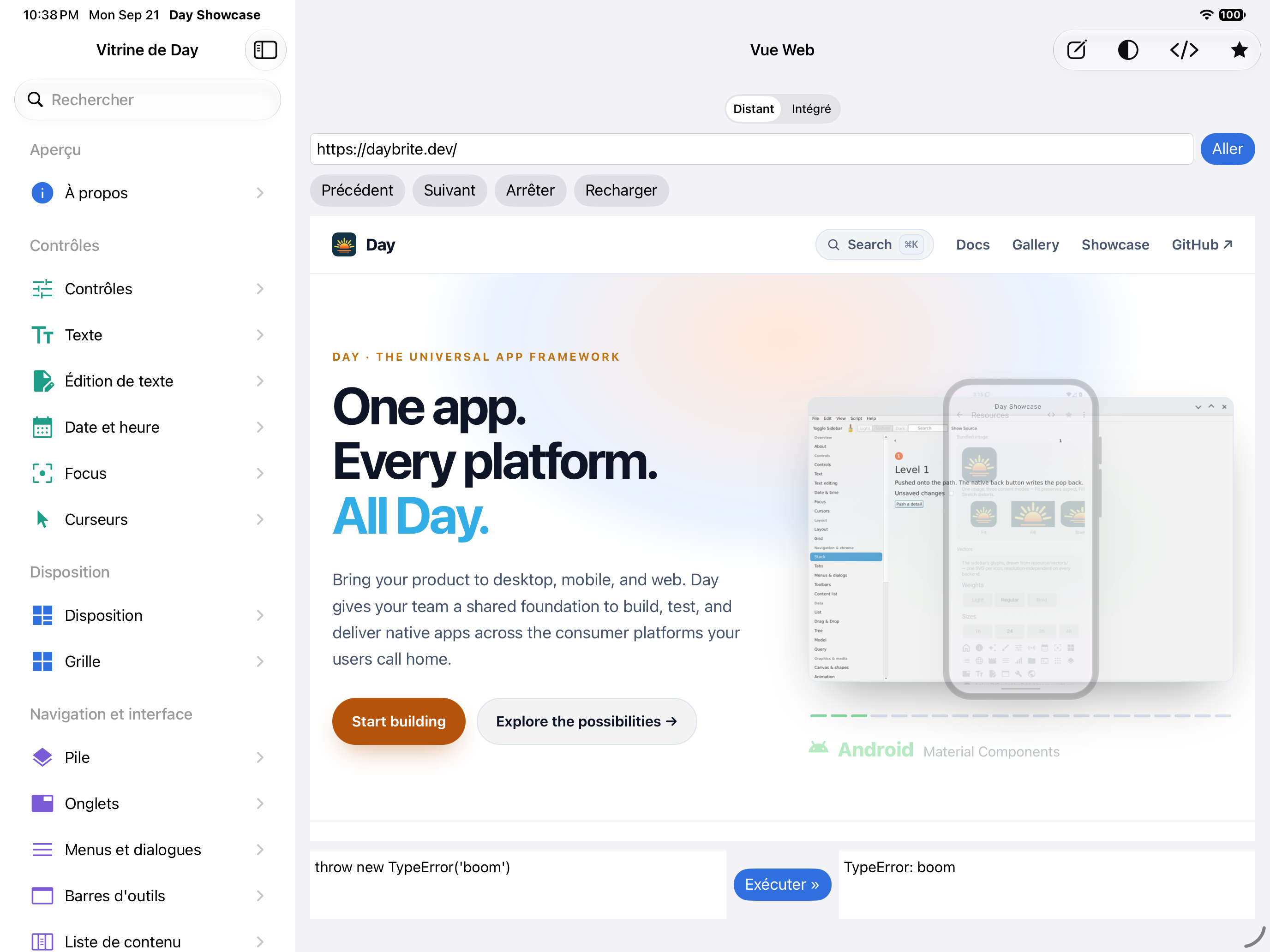 Vue Web — iOS (UIKit) · iPad