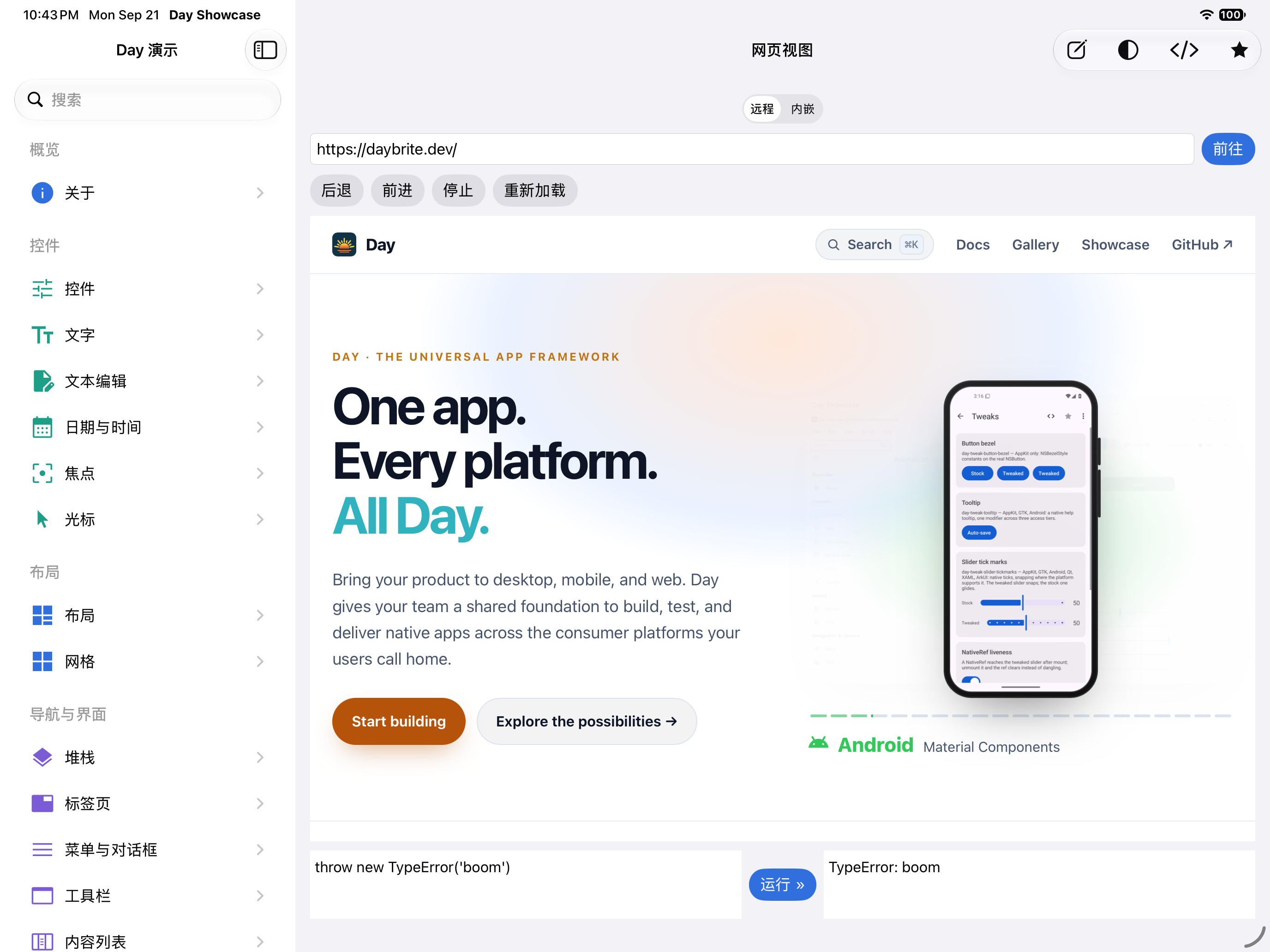 网页视图 — iOS (UIKit) · iPad