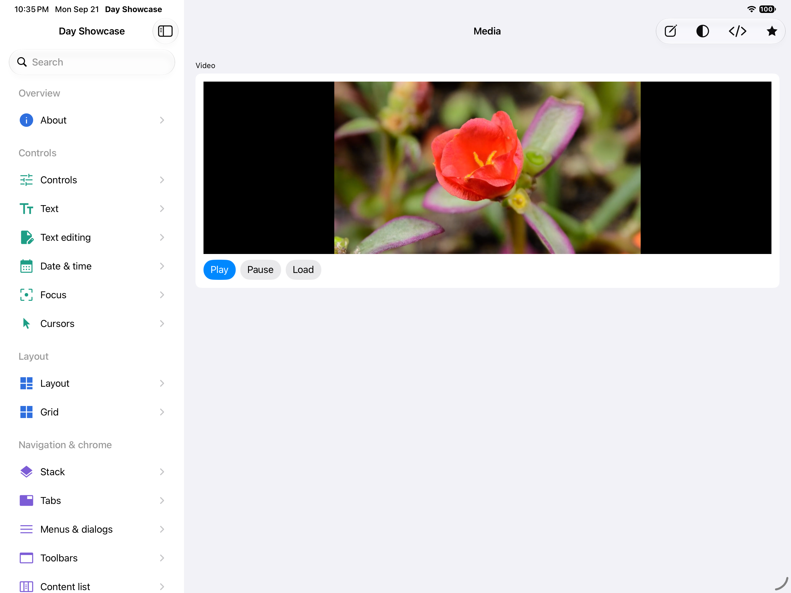 Media — iOS (UIKit) · iPad