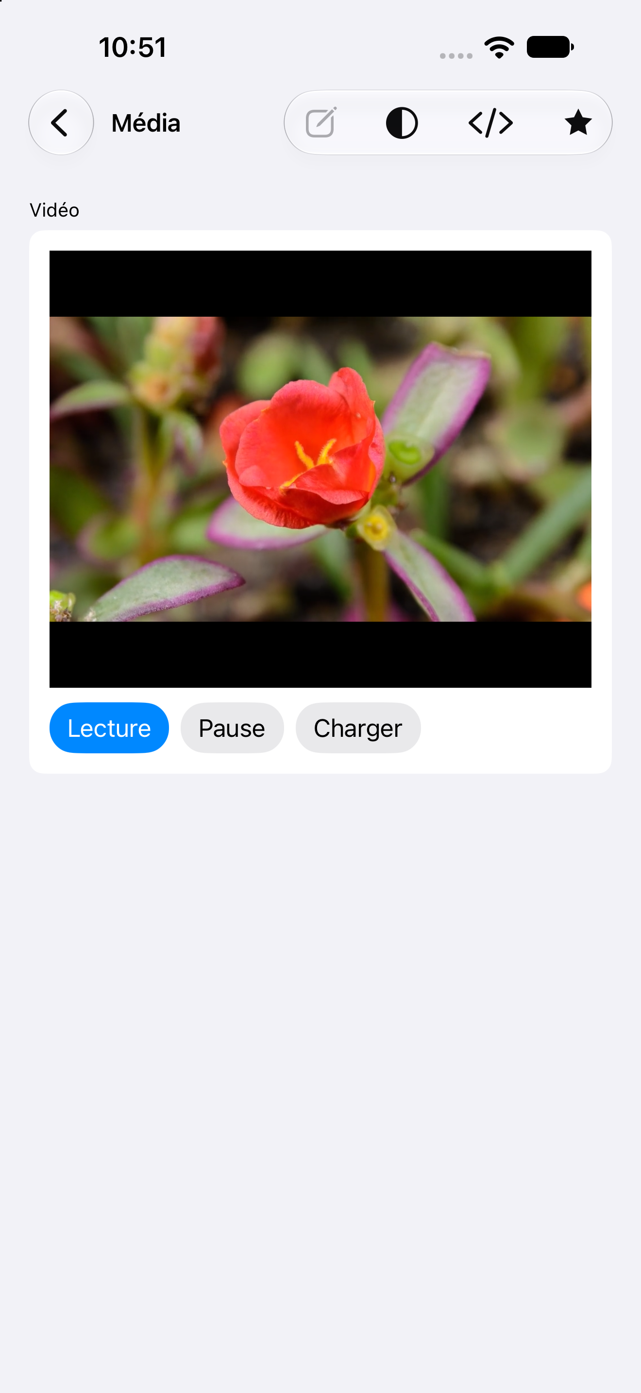 Médias — iOS (UIKit) · iPhone