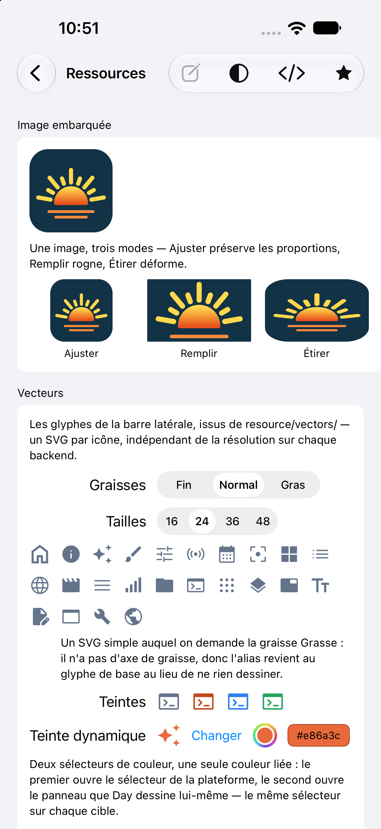 Ressources — iOS (UIKit) · iPhone